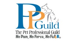 PPG-Logo-FINAL_PPG-with-No-Fear-Tag-copy-2-300x264